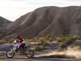 Ducati erneuert die Desert X - Bild 13