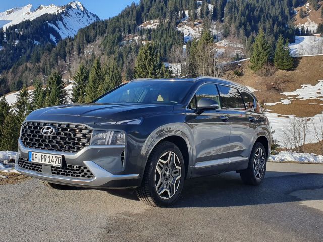 Hyundai-Käufer werden Naturschützer - Bild 1