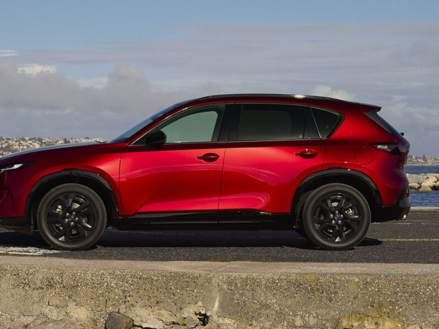 Neuer Auftritt, vertrautes Bild - Bild 1