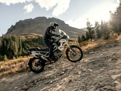 Triumph bläst zur Suche nach der Tiger