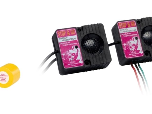 Hyundai wehrt Marder ab - Bild 1