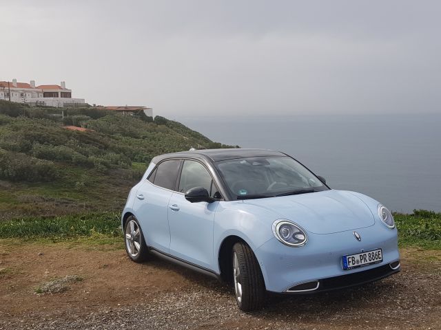 Ora Funky Cat im Leasing - Bild 1