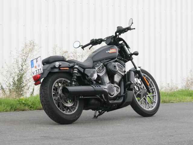 Das kleinste Pferd im Harley-Stall - Bild 1