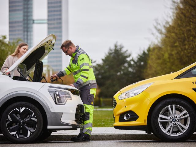 Starterbatterie macht am häufigsten Ärger - Bild 1