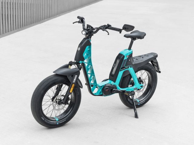 Dieses S-Pedelec fällt auf - Bild 1