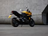 Triumph bringt wieder eine 800er - Bild 15