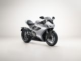 Norton ist wieder da - Bild 3