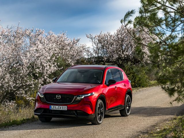 Mazda setzt weniger Autos ab - Bild 1