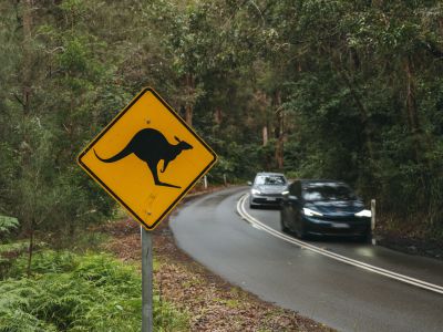 Cupra schickt den Born nach Down Under