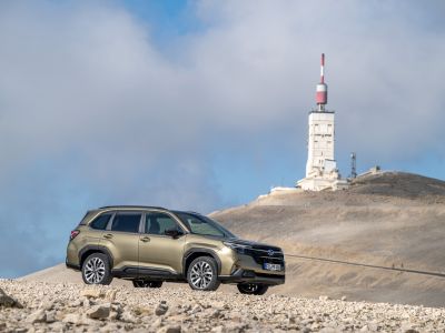 Der Subaru Forester und der Kolibri