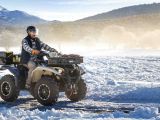 Yamaha Kodiak kommt als Kiwami - Bild 17