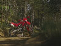 Ducatis erste Enduro 