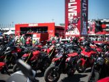 Fast 120.000 Besucher bei der WDW - Bild 15