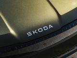 Fahrbericht Skoda Peaq: Gipfelstürmer - Bild 54