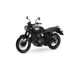 Bonneville fahren geht bald auch mit 398 Kubik - Bild 18