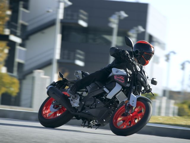 Motorräder: Neuzulassungen so hoch wie seit 15 Jahren nicht mehr - Bild 1