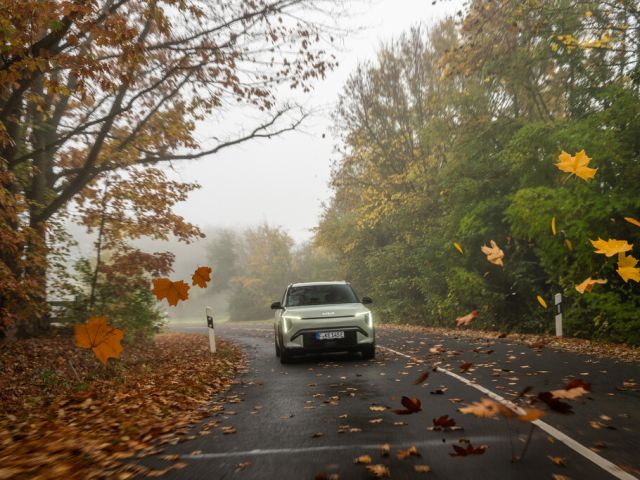 Sicher durch den Herbst - Bild 1