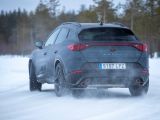 Cupra on the Rocks - Bild 6