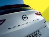Opel Grandland GSe: Sportler im Crossover-Dress - Bild 4