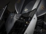Diese Triumph gibt es nur 270-mal - Bild 10