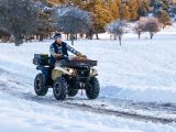 Yamaha Kodiak kommt als Kiwami - Bild 19