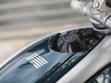 Der Floh bleibt diesmal am Boden - Bild 9