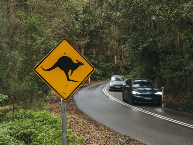 Cupra schickt den Born nach Down Under - Bild 1