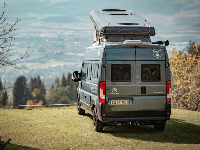 Hannes und Großer Hannes bekommen Geschwister - Bild 1