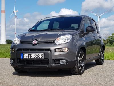 Autokäufer mögen es nicht so bunt