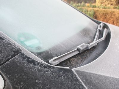 Ratgeber: Den Frostnächten trotzen