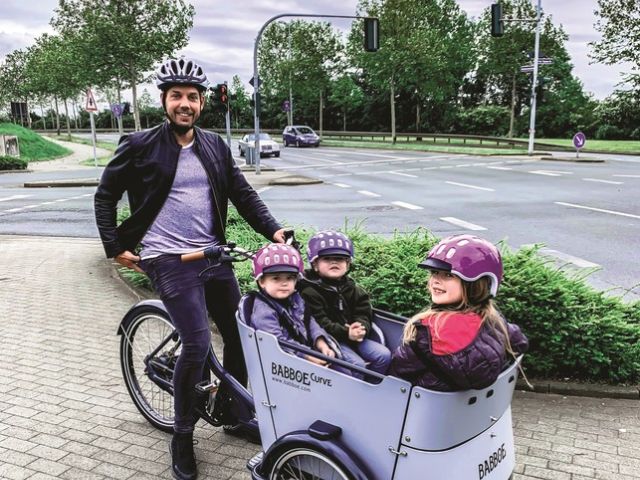 Überrollbügel für Lastenfahrräder - Bild 1