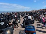 Sommer, Sonne, Sylt und jede Menge Harleys - Bild 2