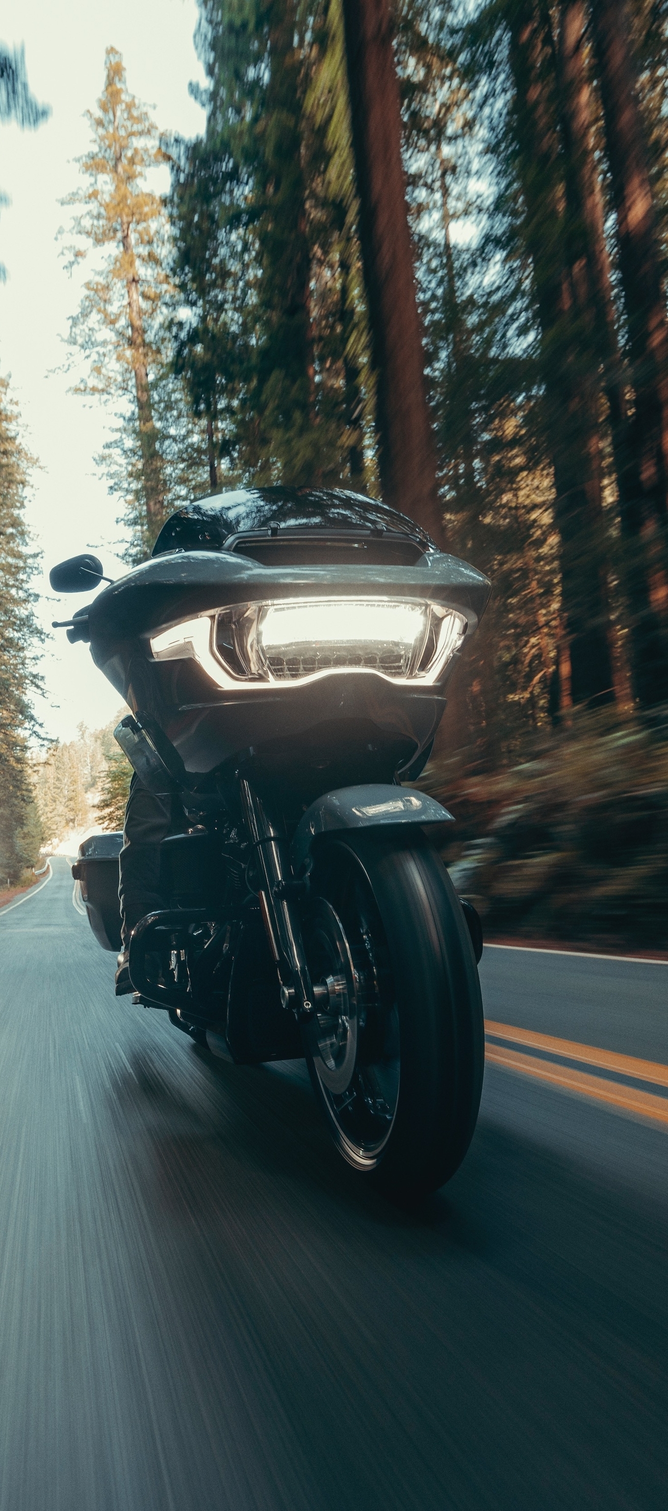 Der Doppelscheinwerfer hat ausgedient - Bild 13